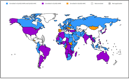 항생제 감시체계현황